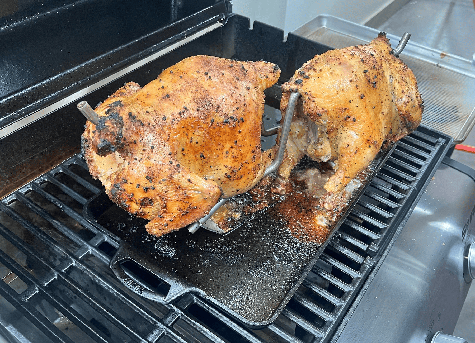 Chicken Rod "The Perch"